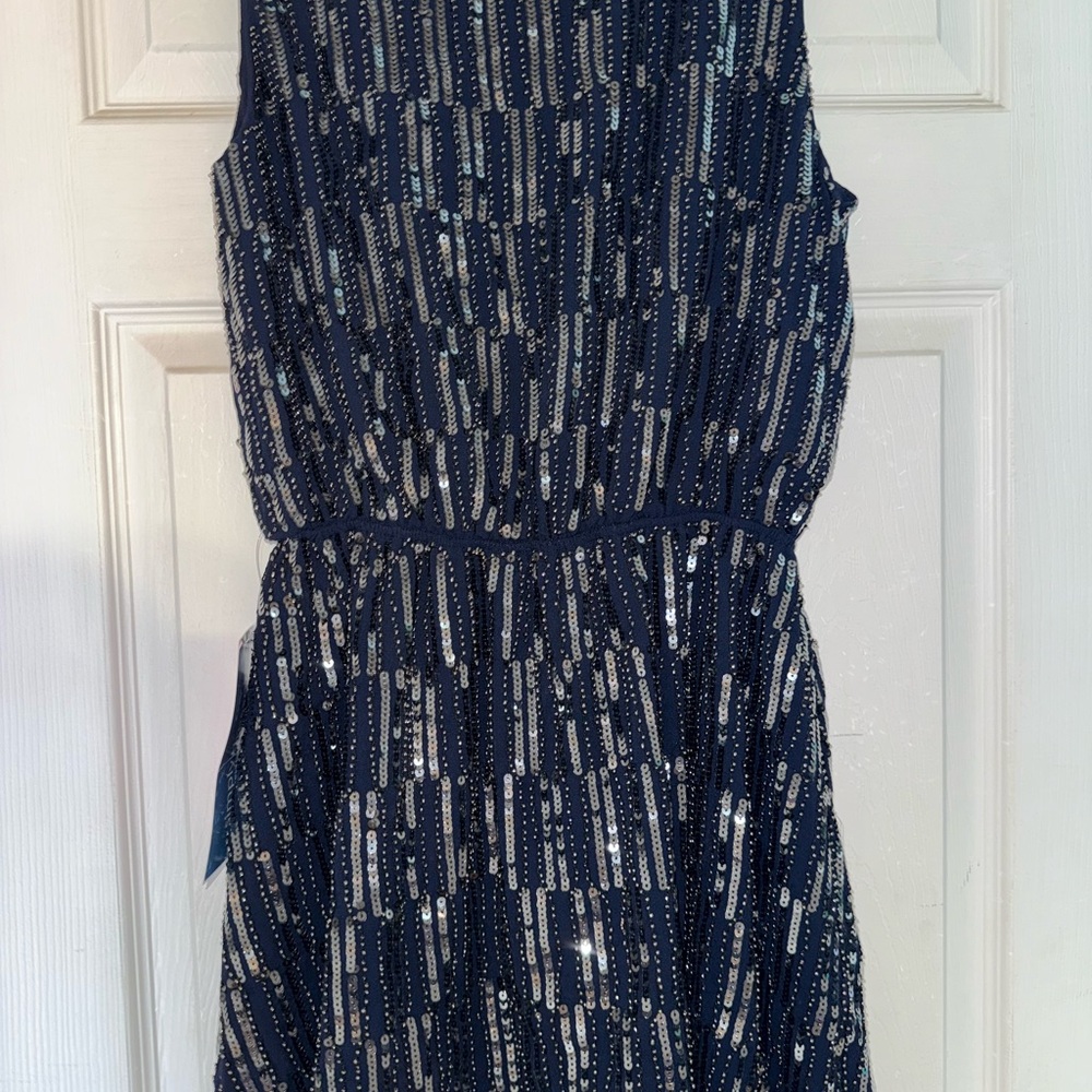 Verty Midnight Blue Dress with Silver Accents